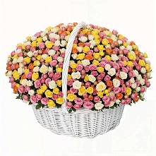 Премиум букет из: Розы в Истобном