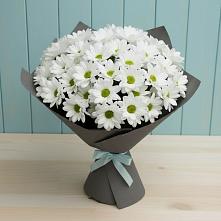 Букет цветов из:  Хризантемы в Истобном