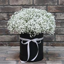 Цветочная композиция из Гипсофила в шляпной коробке в Истобном
