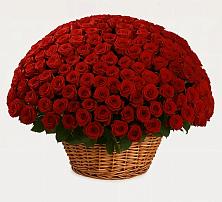 Премиум букет из: Розы в Истобном